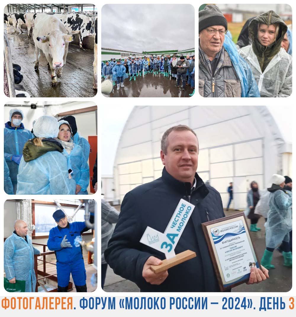 Фоторепортаж. День третий